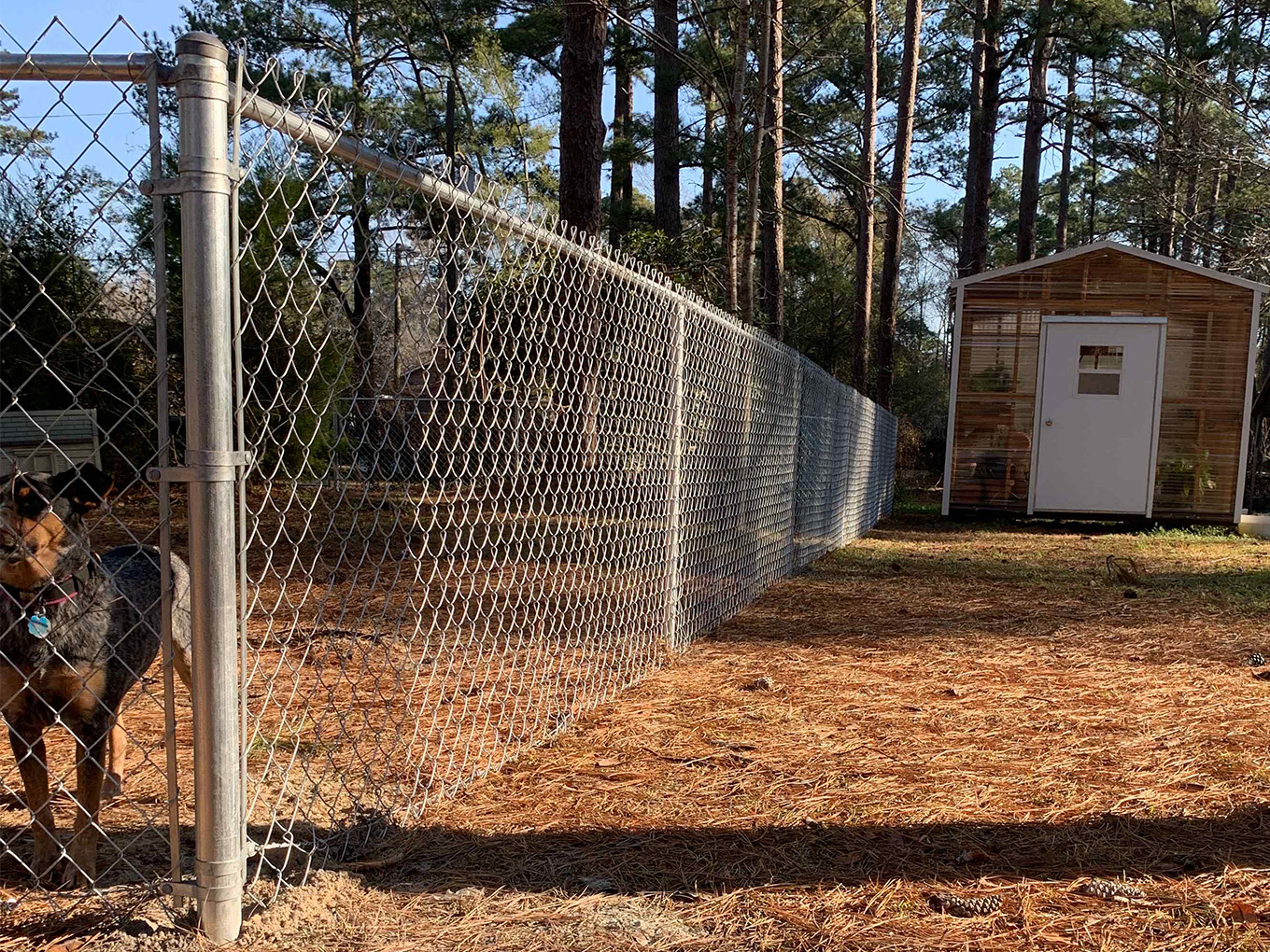 chain link fence Arcadia Lakes South Carolina